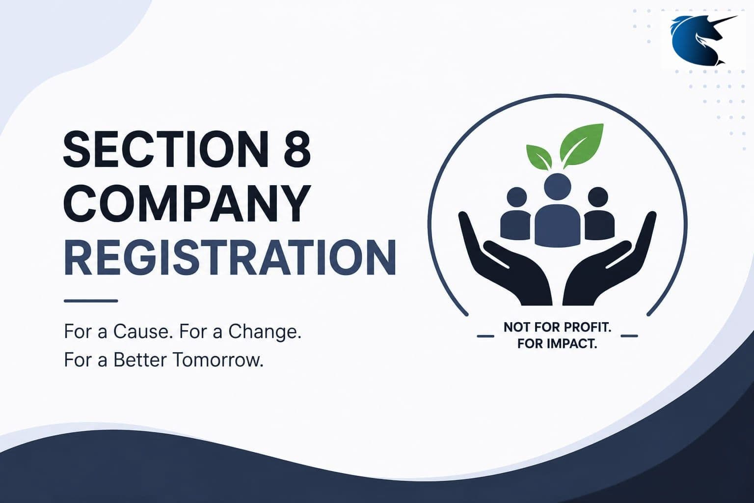 Section 8 Company Registration